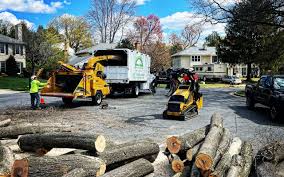 Best Lawn Maintenance Plans  in Lapwai, ID