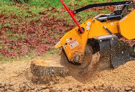 Trusted Lapwai, ID Tree Services Experts